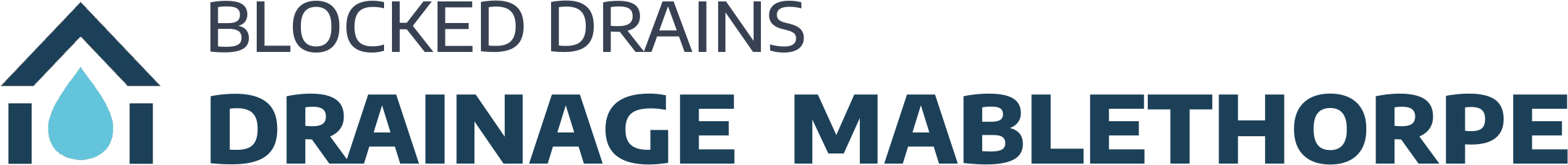 website logo